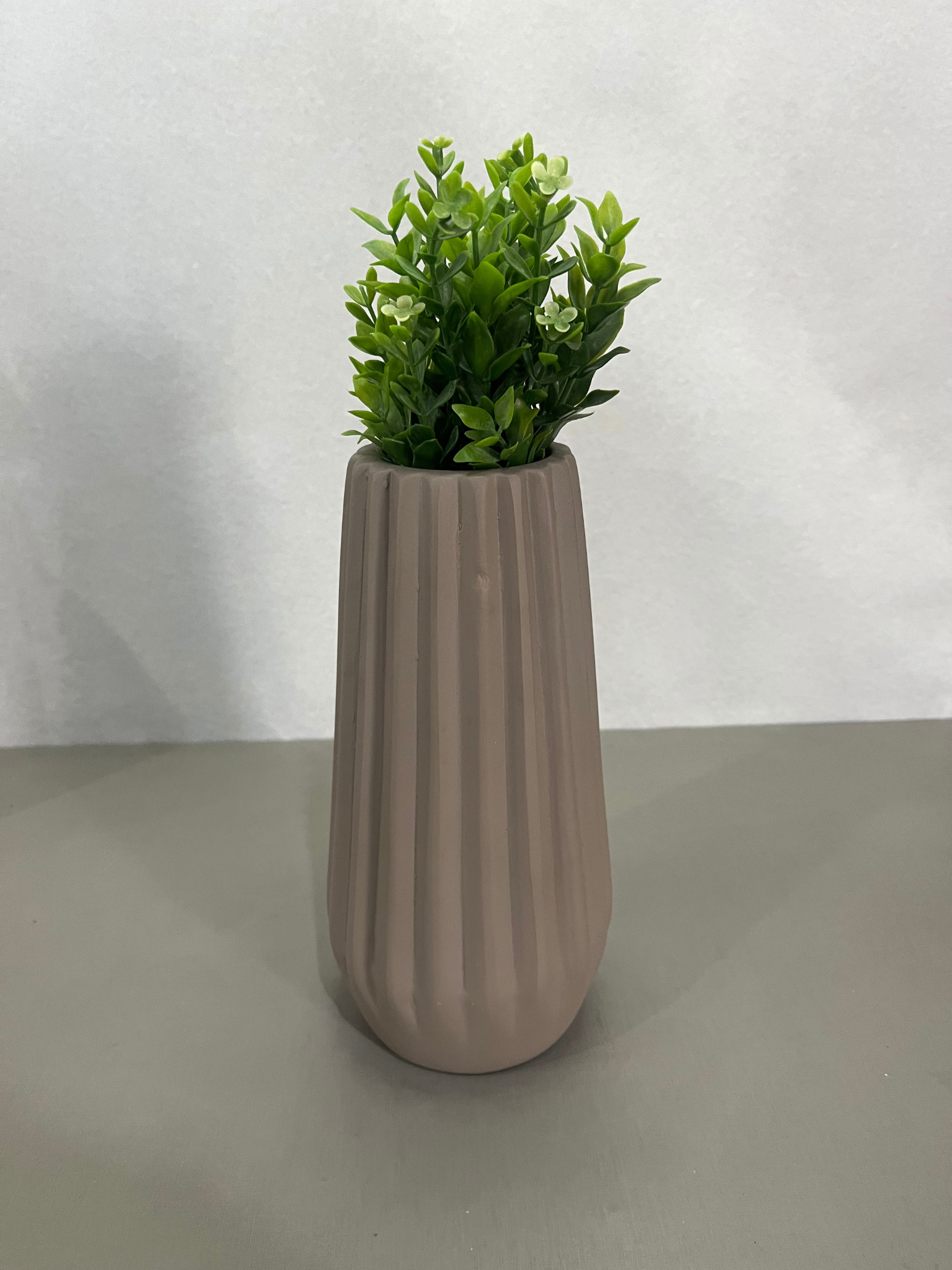 Vaso Planta