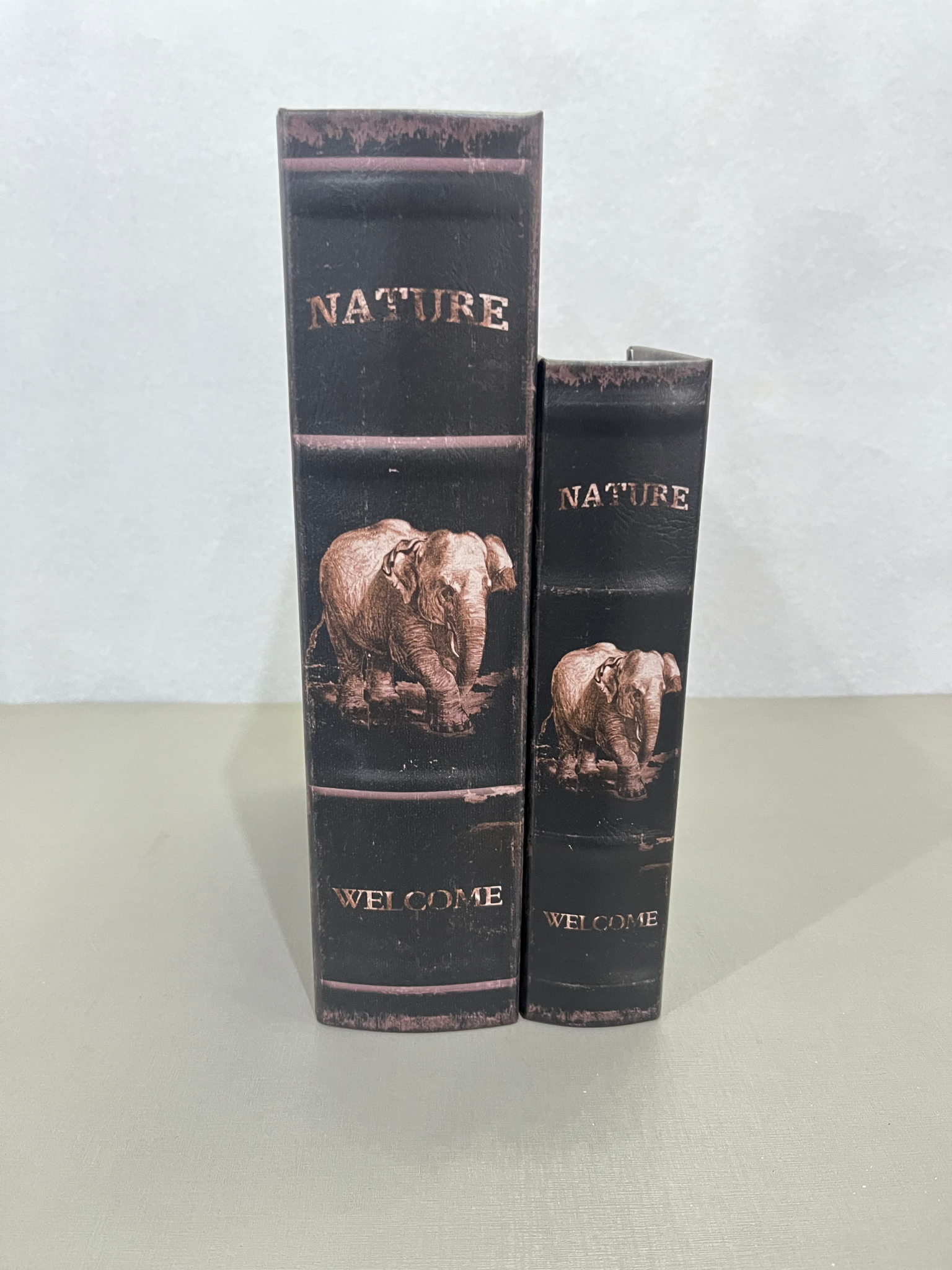 Kit 4 caixa de livro decoração