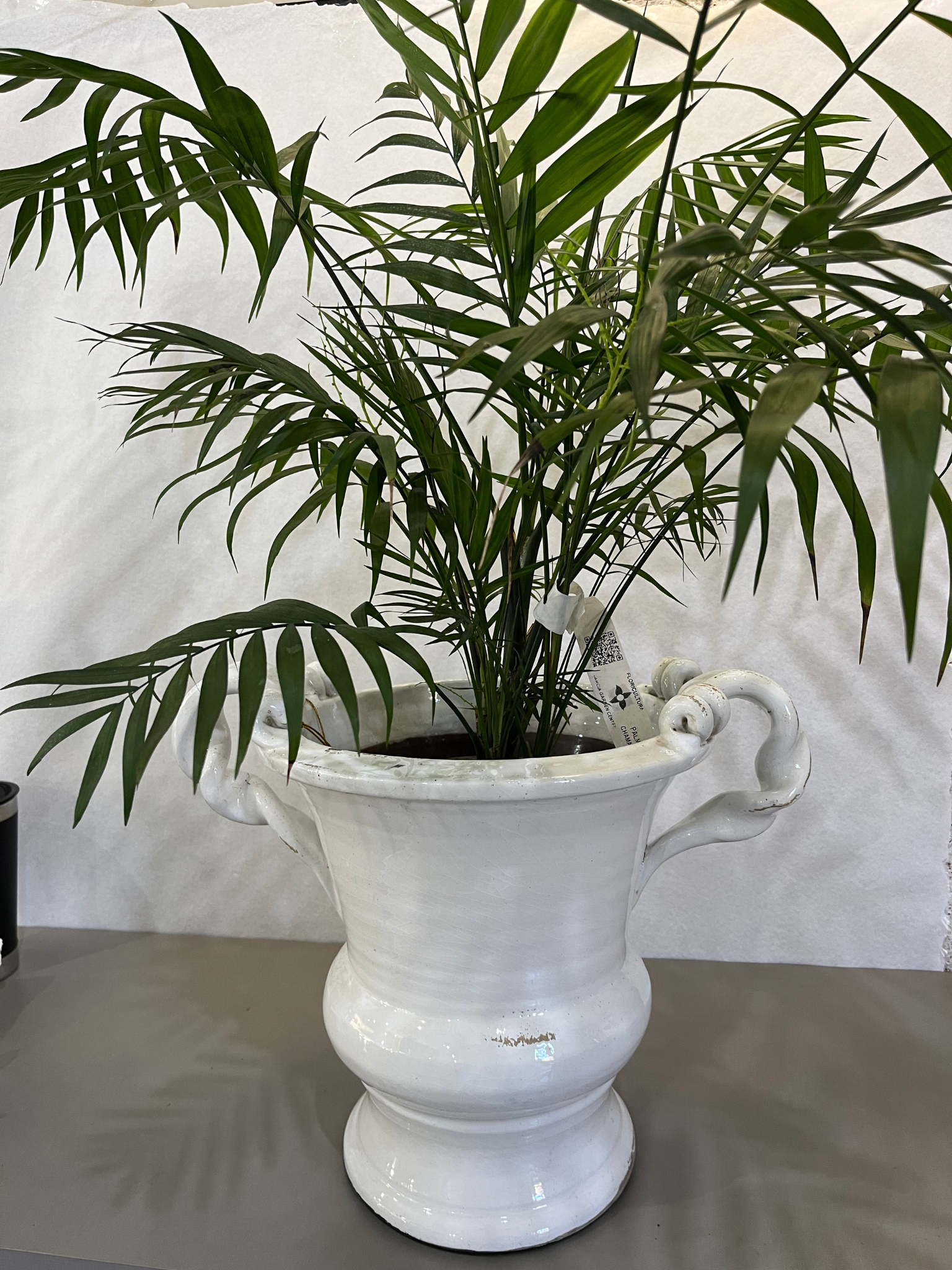 Vaso Ornamental de Porcelana