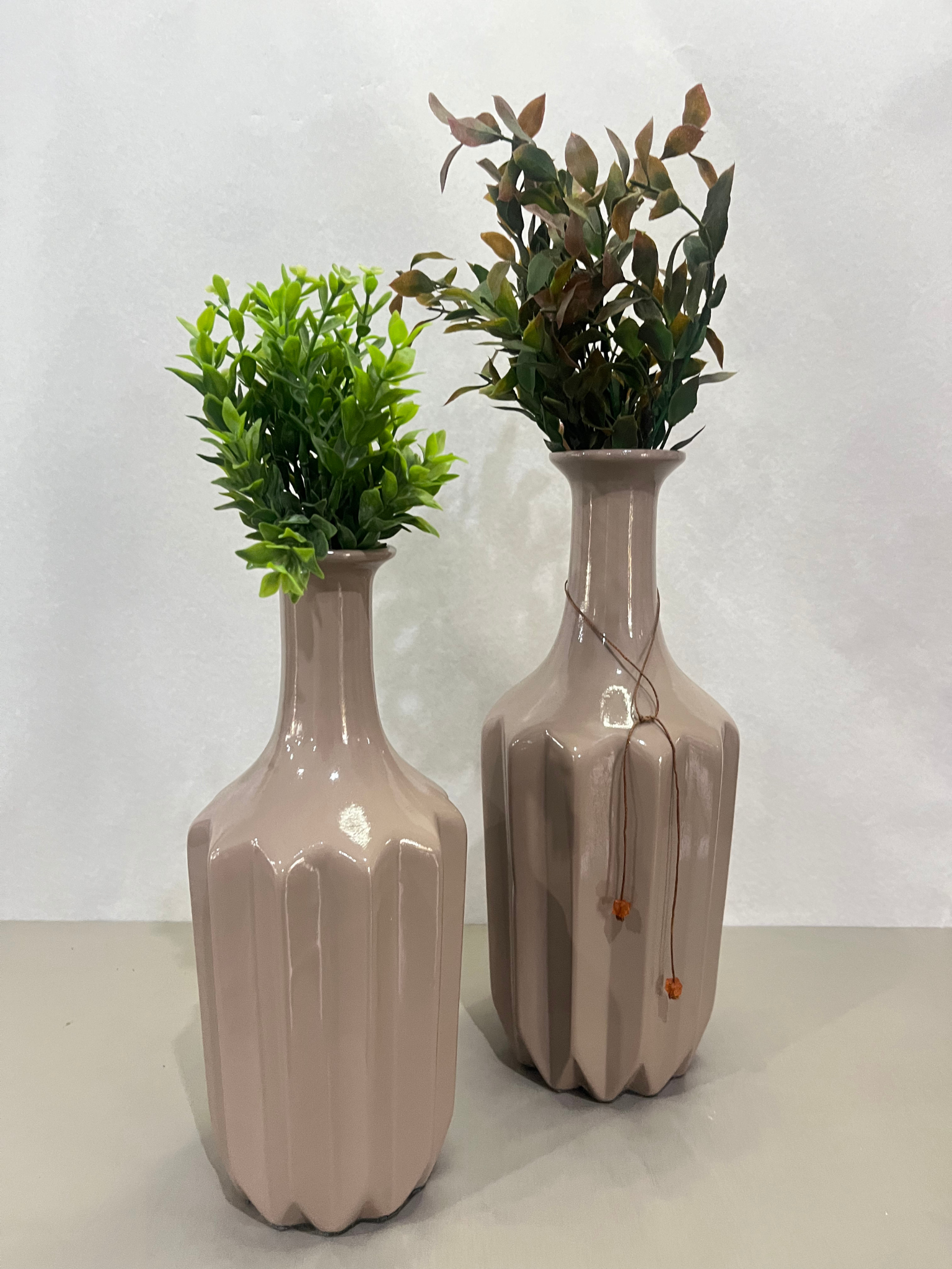 Conjunto Vaso de Planta