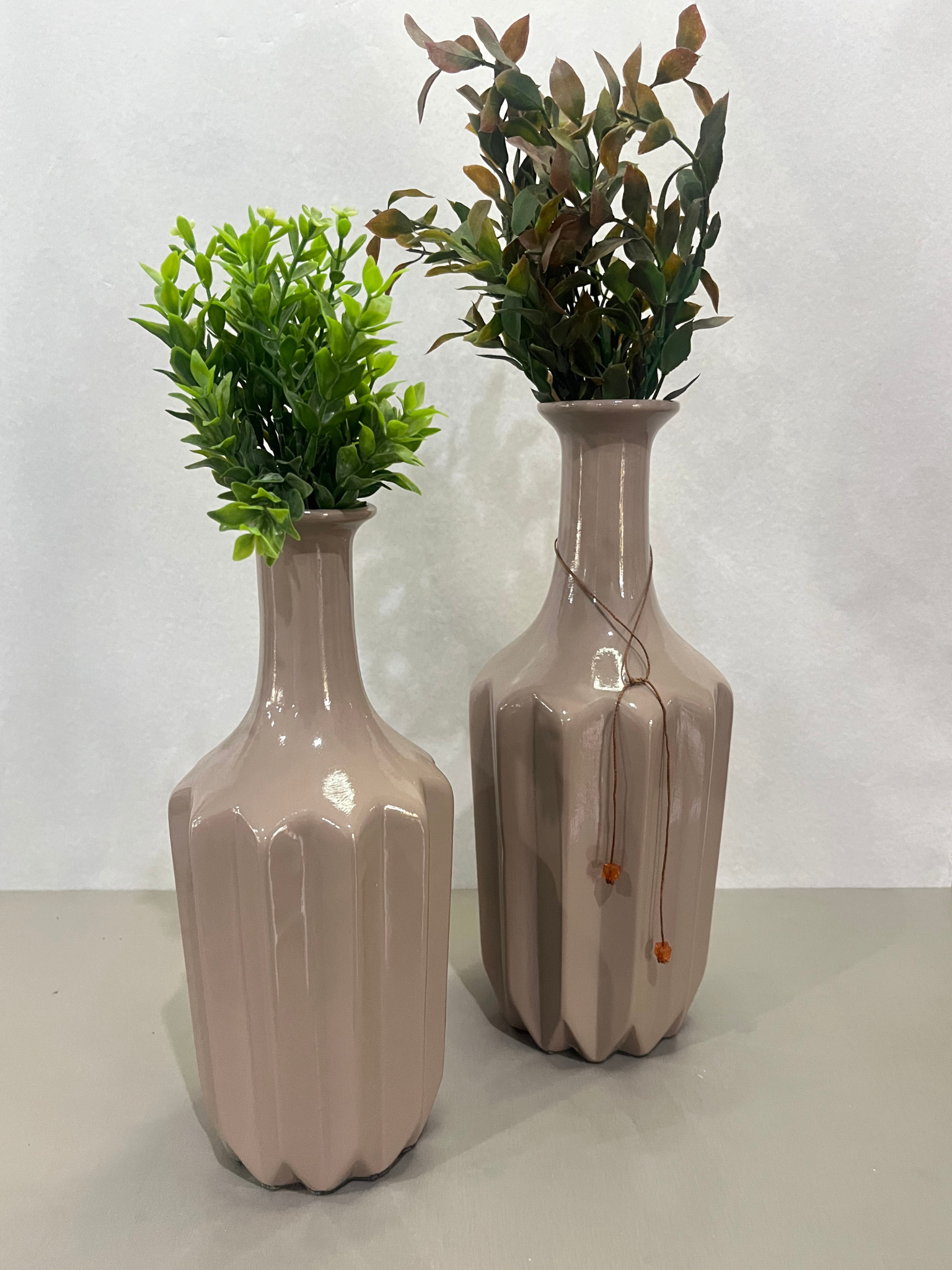 Conjunto Vaso de Planta