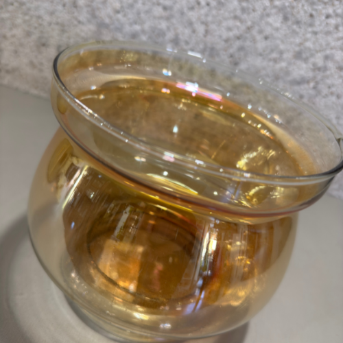 Vaso de Vidro Ideal Para Orquídea