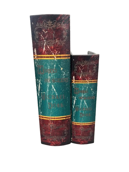 Kit 4 caixa de livro decoração