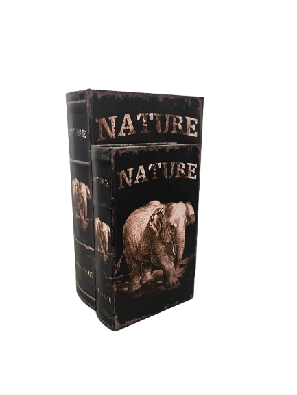 Kit 4 caixa de livro decoração