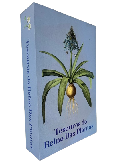 Caixa Livro