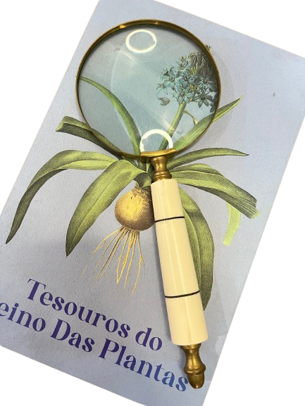 Lupa decoração