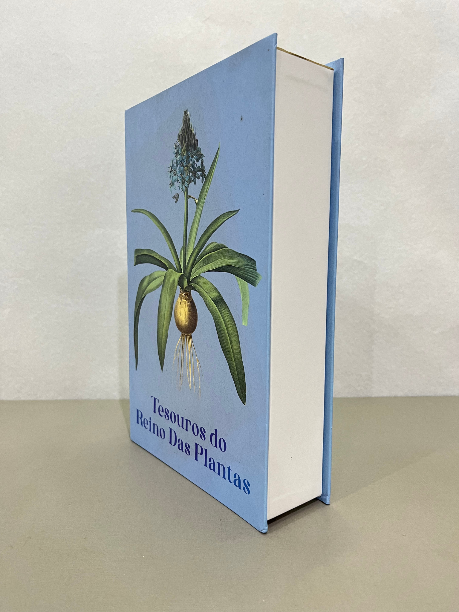 Caixa Livro