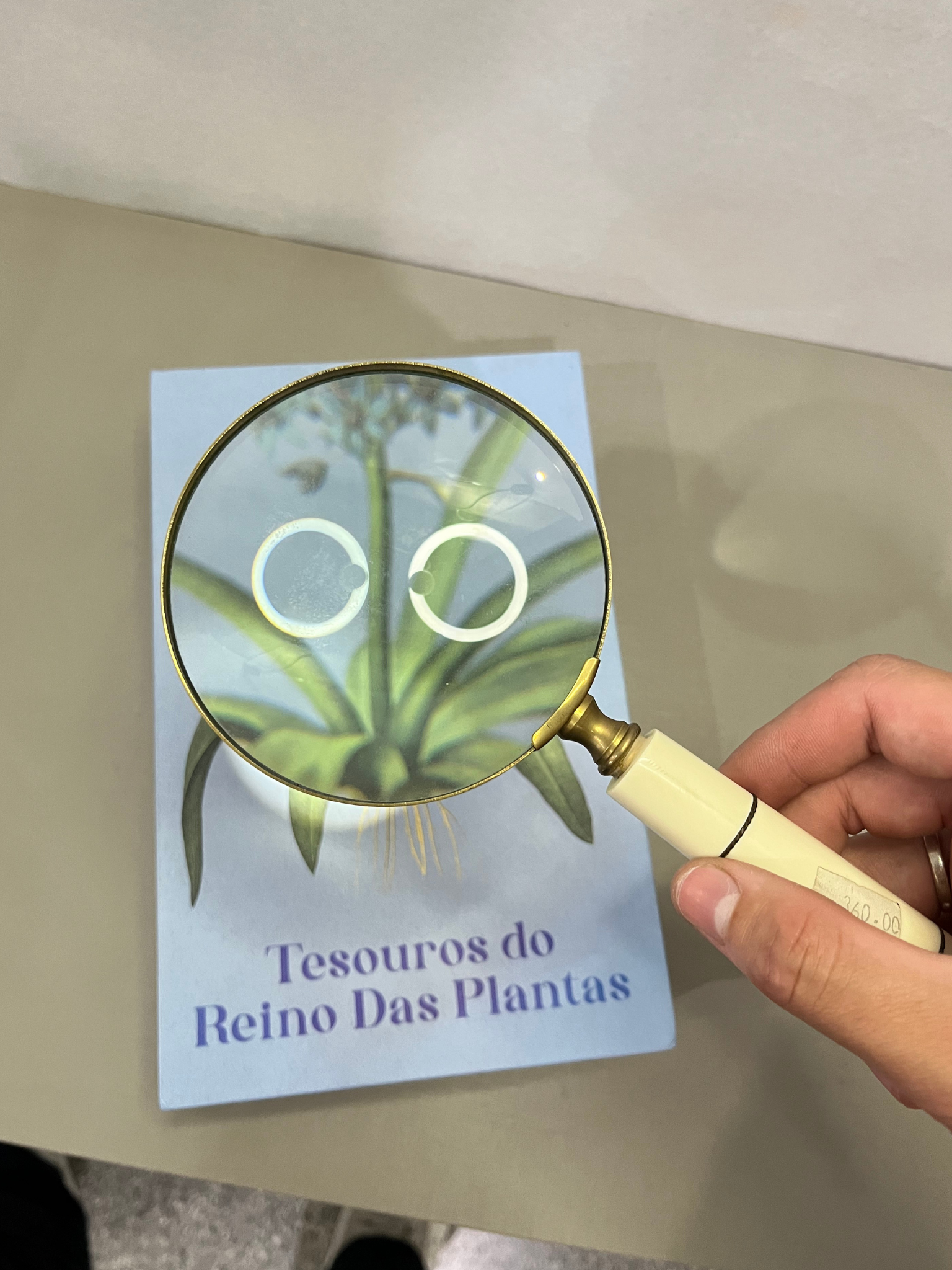 Lupa decoração